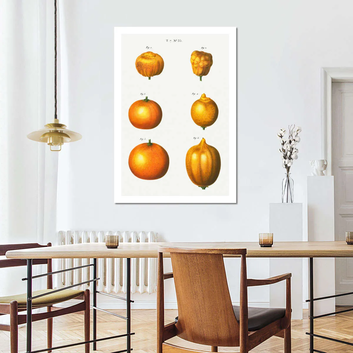 6 Types Of Oranges Wall Art