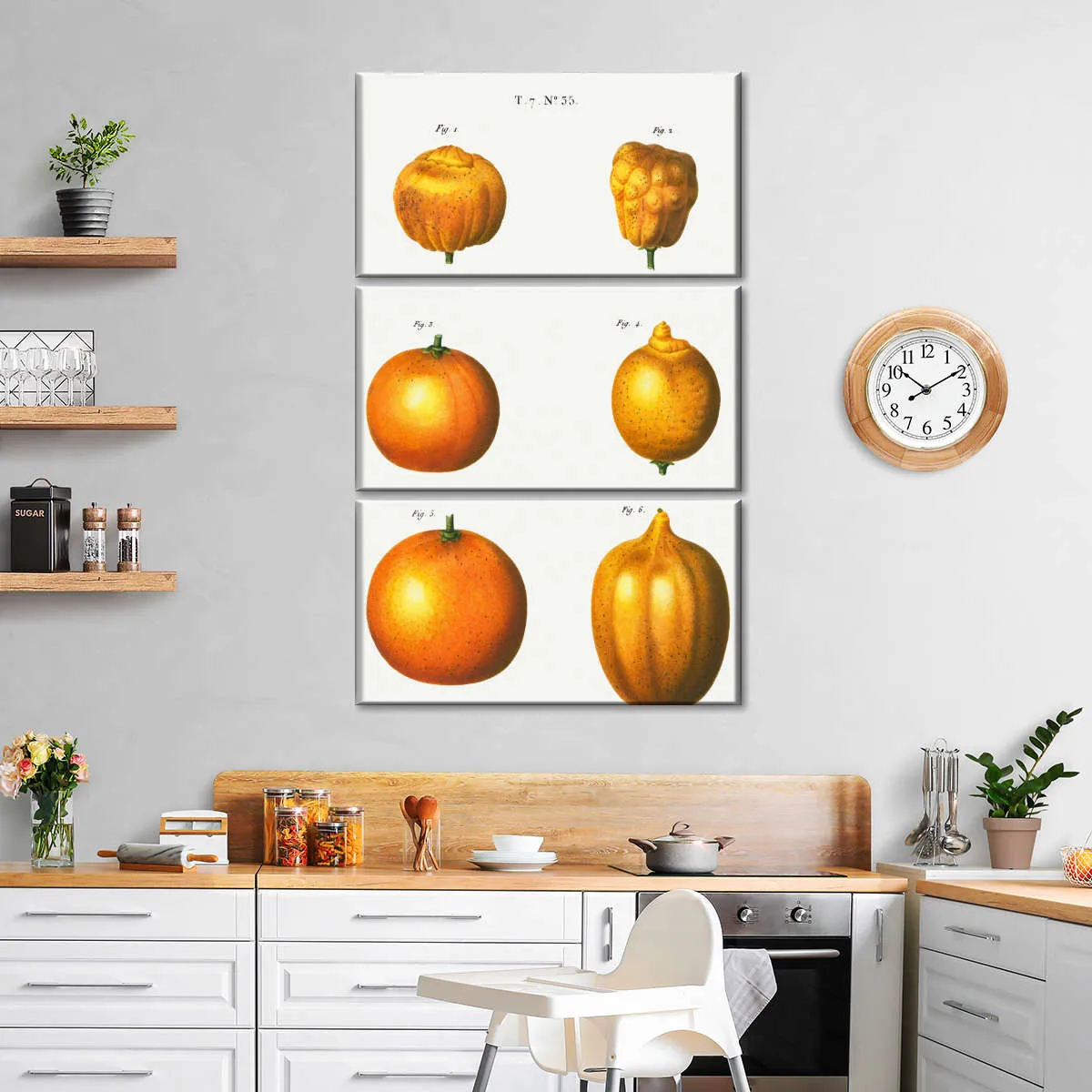 6 Types Of Oranges Wall Art