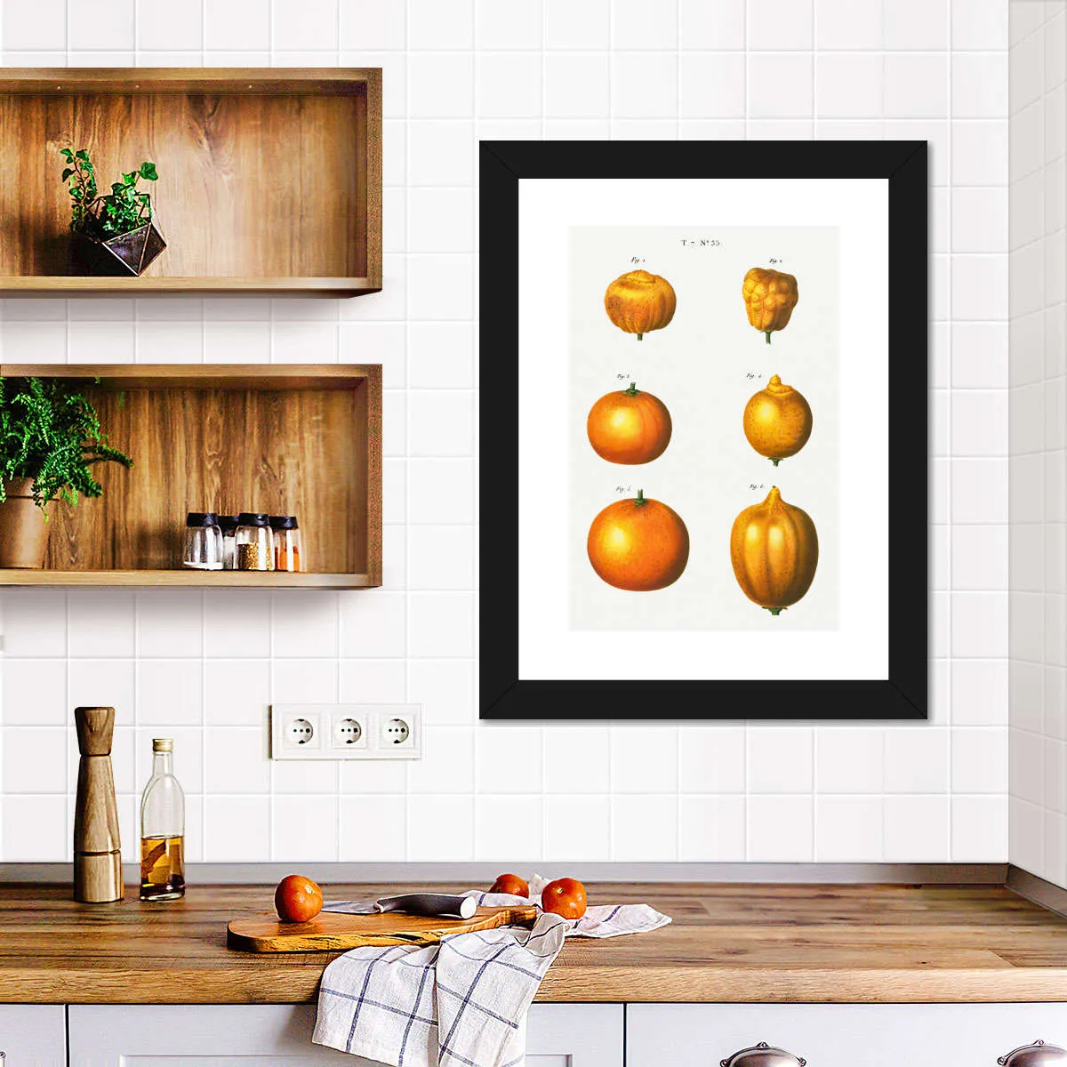 6 Types Of Oranges Wall Art