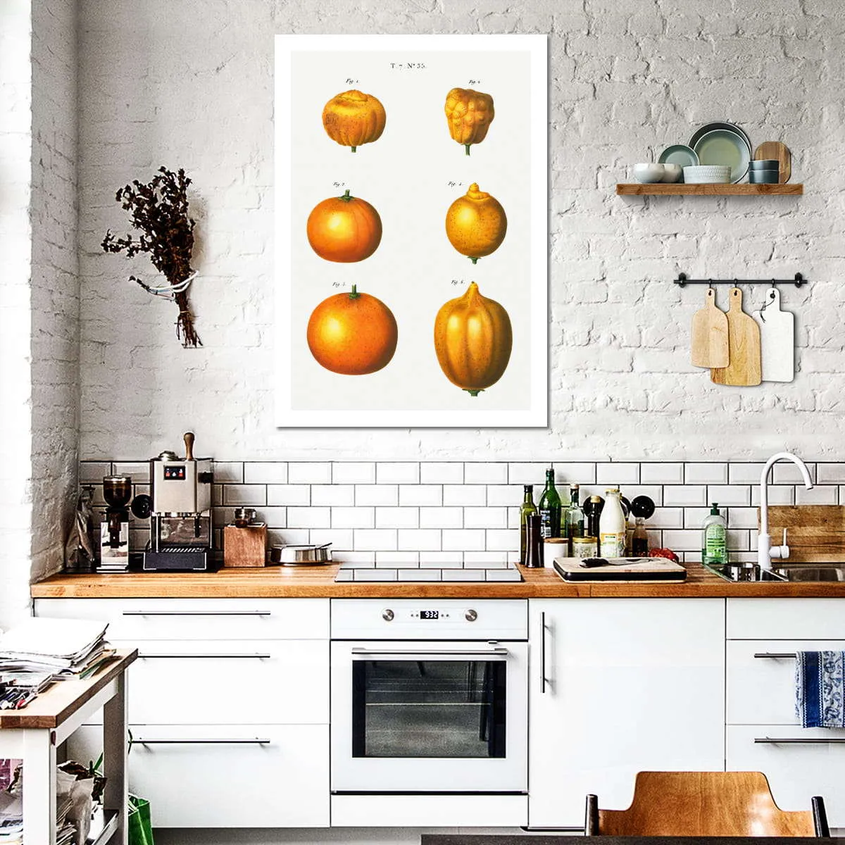 6 Types Of Oranges Wall Art