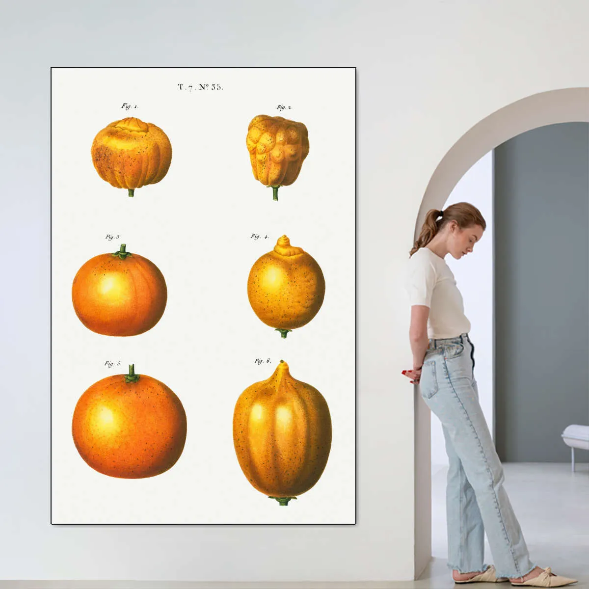 6 Types Of Oranges Wall Art