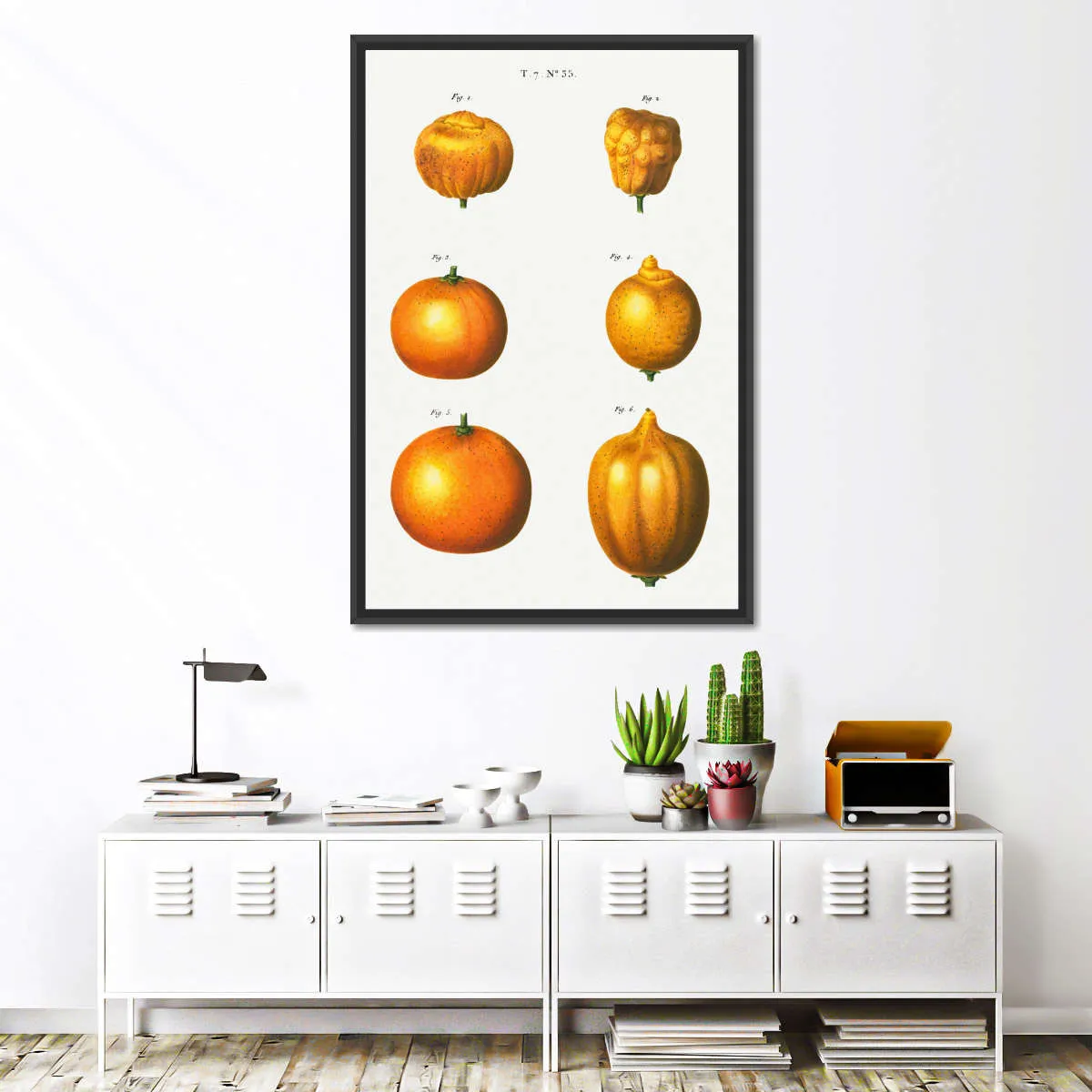 6 Types Of Oranges Wall Art