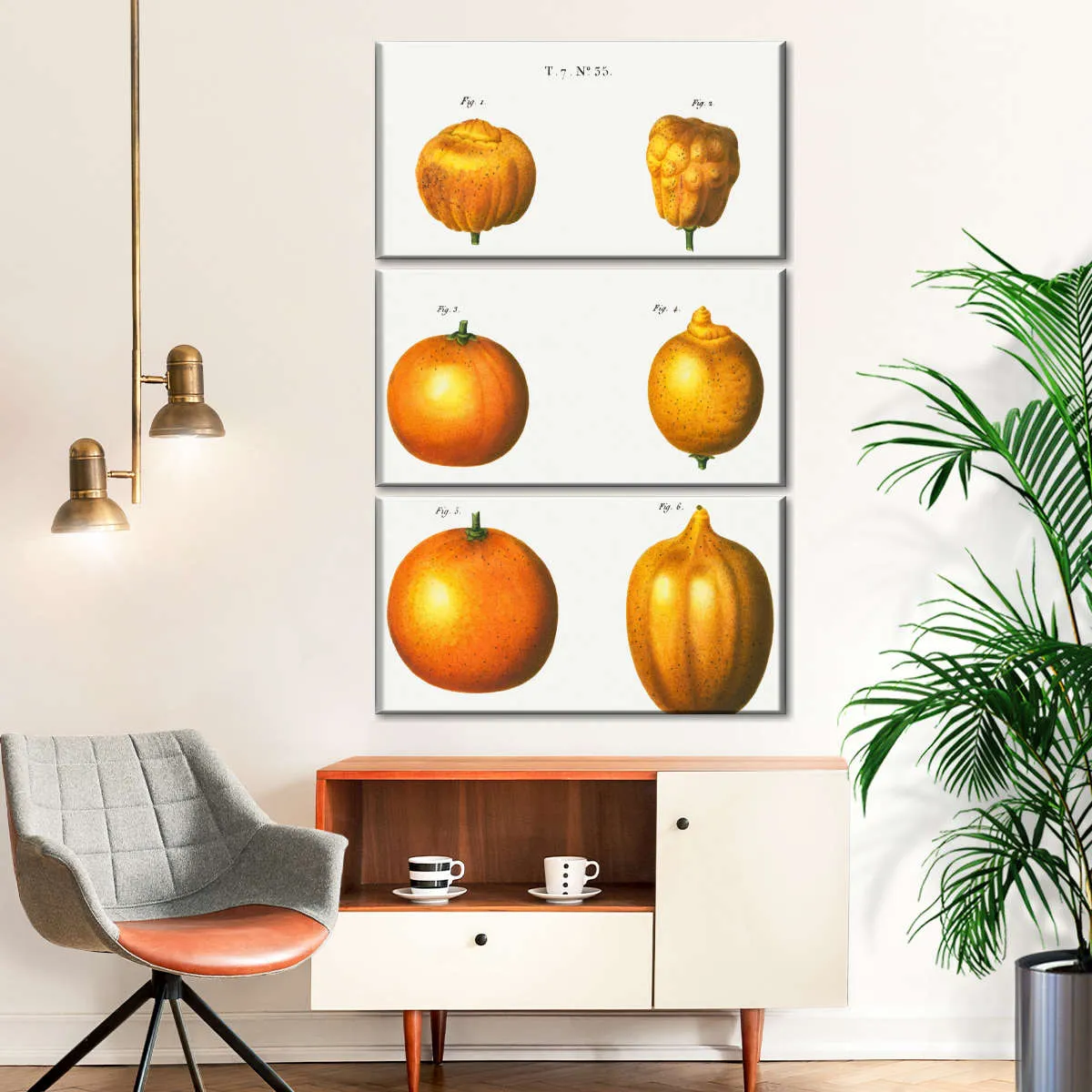 6 Types Of Oranges Wall Art