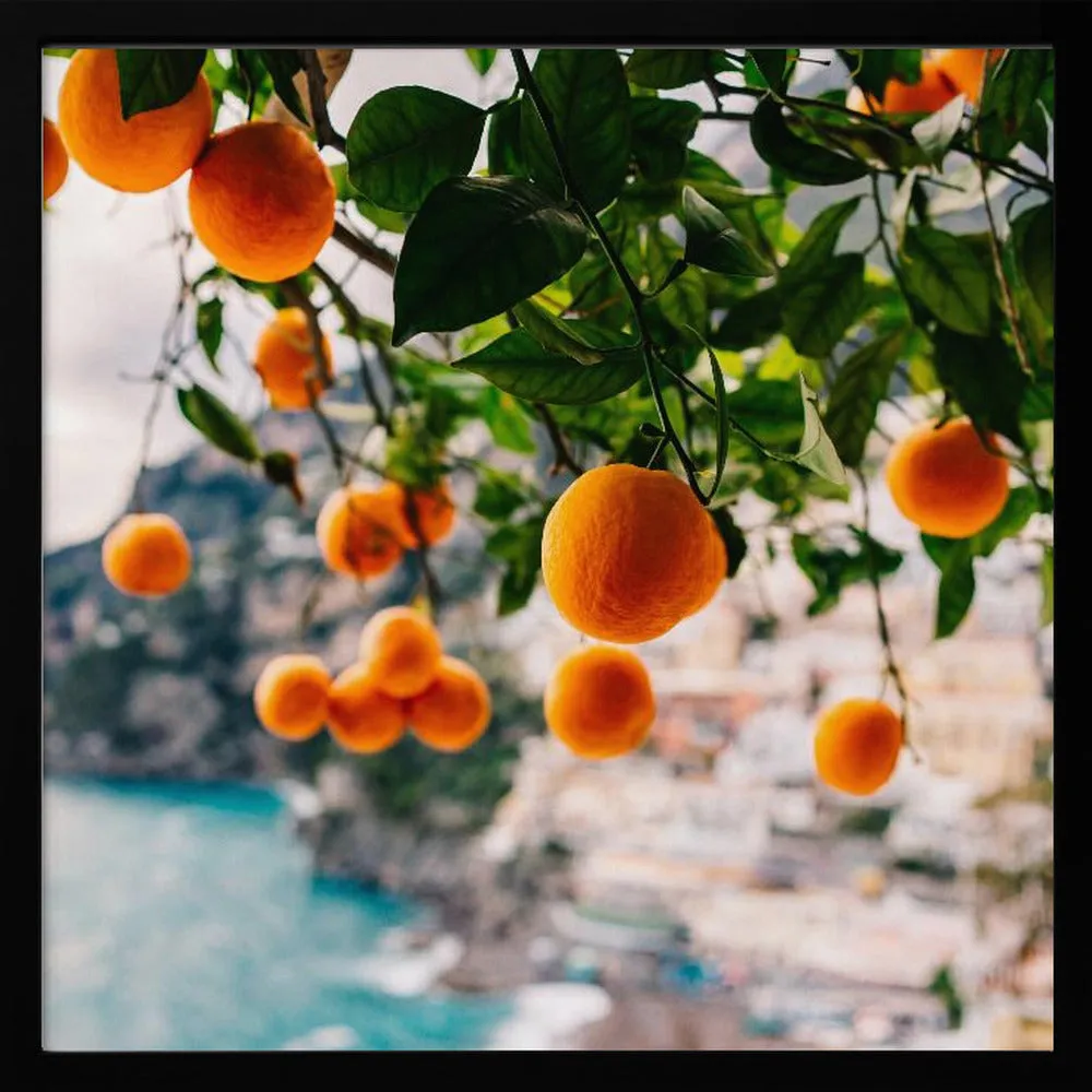 Amalfi Coast Oranges - Square Stretched Canvas, Poster or Fine Art Print