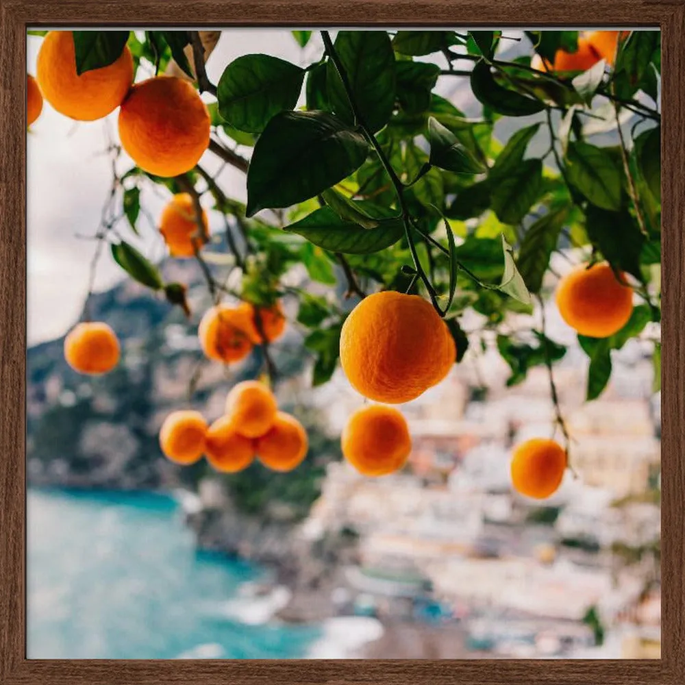 Amalfi Coast Oranges - Square Stretched Canvas, Poster or Fine Art Print