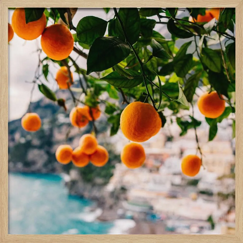 Amalfi Coast Oranges - Square Stretched Canvas, Poster or Fine Art Print