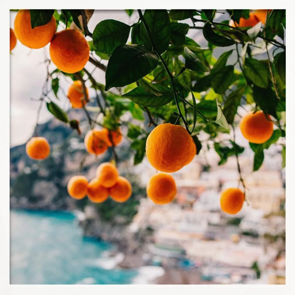 Amalfi Coast Oranges - Square Stretched Canvas, Poster or Fine Art Print