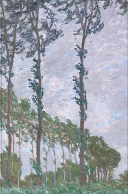 Series of the Poplars | Claude Monet Masters Classic Art in Gallery Wrapped Canvas | Various Sizes